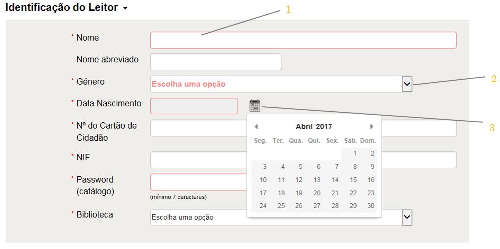 One form of Pré-Registration - 'Identificação do Leitor'